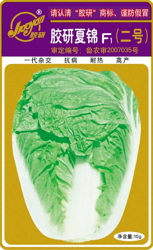 Jiaoyan Xiajin——Summer-sowing Cabbage